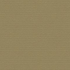 '6742  Ally Artimo textiles